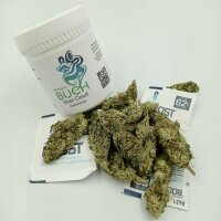 Silver Cloud Greenhouse – Susz Konopny CBG ~ 11% 6G